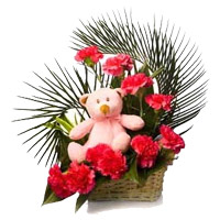 Online Get Well Soon Gifts to Chennai