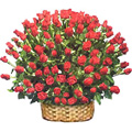 Valentine's Day Flowers to Chennai, Send Valentines Day Flowers to Chennai