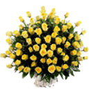 Valentines Day Flowers to Chennai, Flowers to Chennai