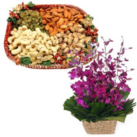 Flowers to Chennai, Send Flowers to Chennai