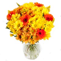 New Year Flowers to Chennai