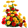 Flowers to Chennai, Send Flowers to Chennai