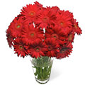 Send Flowers to Chennai