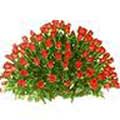 Valentines Day Flowers to Chennai, Send Flowers to Chennai