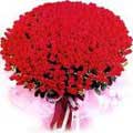 Valentines Day Flowers to Chennai