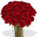 Flowers to Chennai, Valentines Day Flowers to Chennai