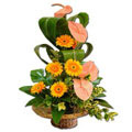 Send Flowers to Chennai : Flowers to Chennai