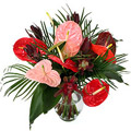 Flowers to Chennai, Send Flowers to Chennai