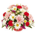 Send Flowers to Chennai : Flowers to Chennai