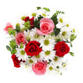 Flowers to Chennai : Send Flowers to Chennai