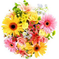 Send Flowers to Chennai : Flowers to Chennai