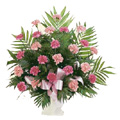 Flowers to Chennai : Send Flowers to Chennai