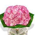 Send Flowers to Chennai : Flowers to Chennai