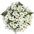 Condolence Flowers to Chennai : Send Flowers to Chennai