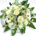 Flowers to Chennai : Send Flowers to Chennai