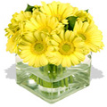 Flowers to Chennai, Send Mid Night Flowers to Chennai