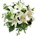 Send Flowers to Chennai : Flowers to Chennai