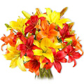 Flowers to Chennai. Send Flowers to Chennai