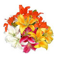 Send Flowers to Chennai : Flowers to Chennai