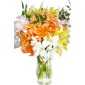 Send Flowers to Chennai : Flowers to Chennai