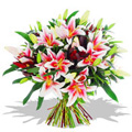 Flowers to Chennai : Send Flowers to Chennai