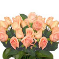 Send Flowers to Chennai : Flowers to Chennai