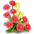 Flowers to Chennai, Friendship Day Flowers to Chennai