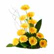 Flowers to Chennai, Send Friendship Day Flowers to Chennai